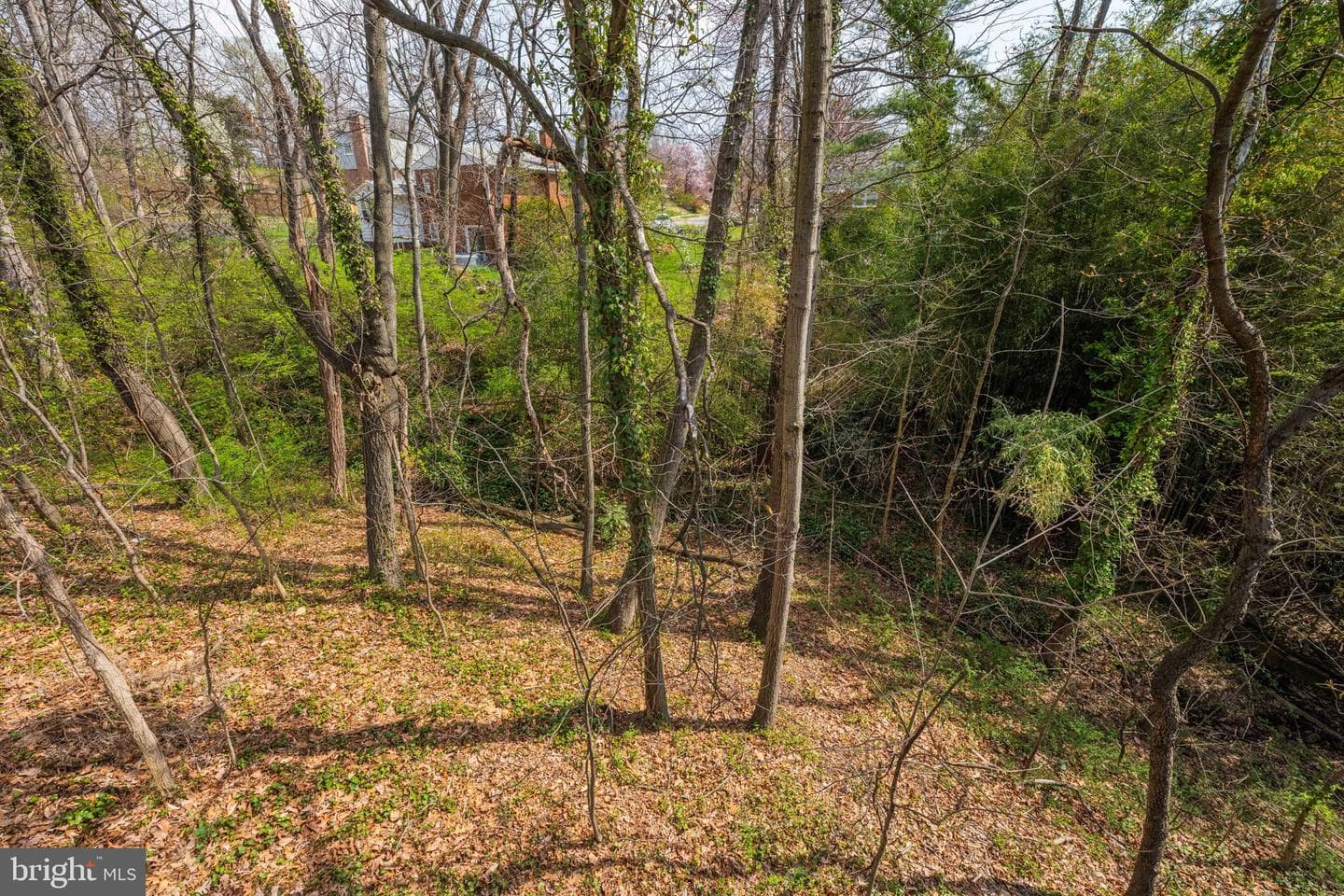 3705 Templeton Place photo 49