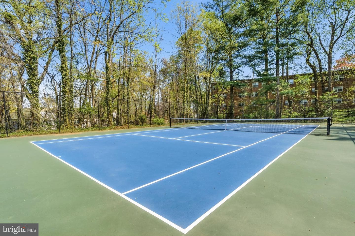 1615 Mount Eagle Place photo 33
