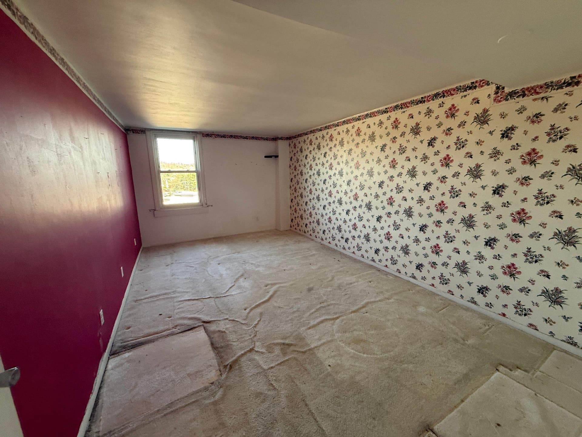 4600 Duke Street #923 photo 8