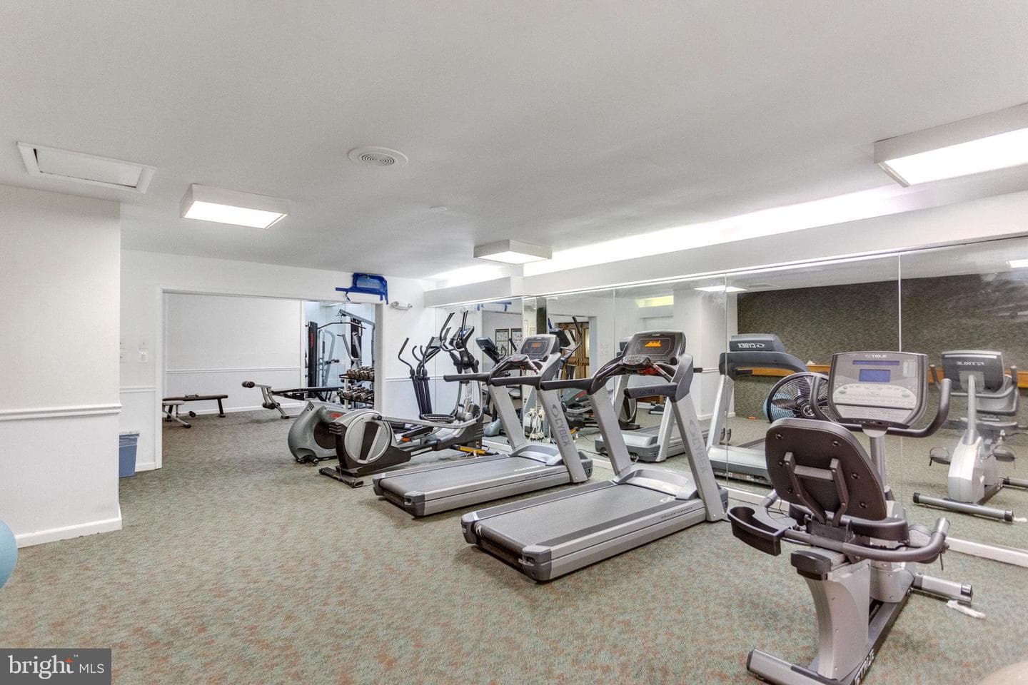 5340 Holmes Run Parkway #510 photo 23