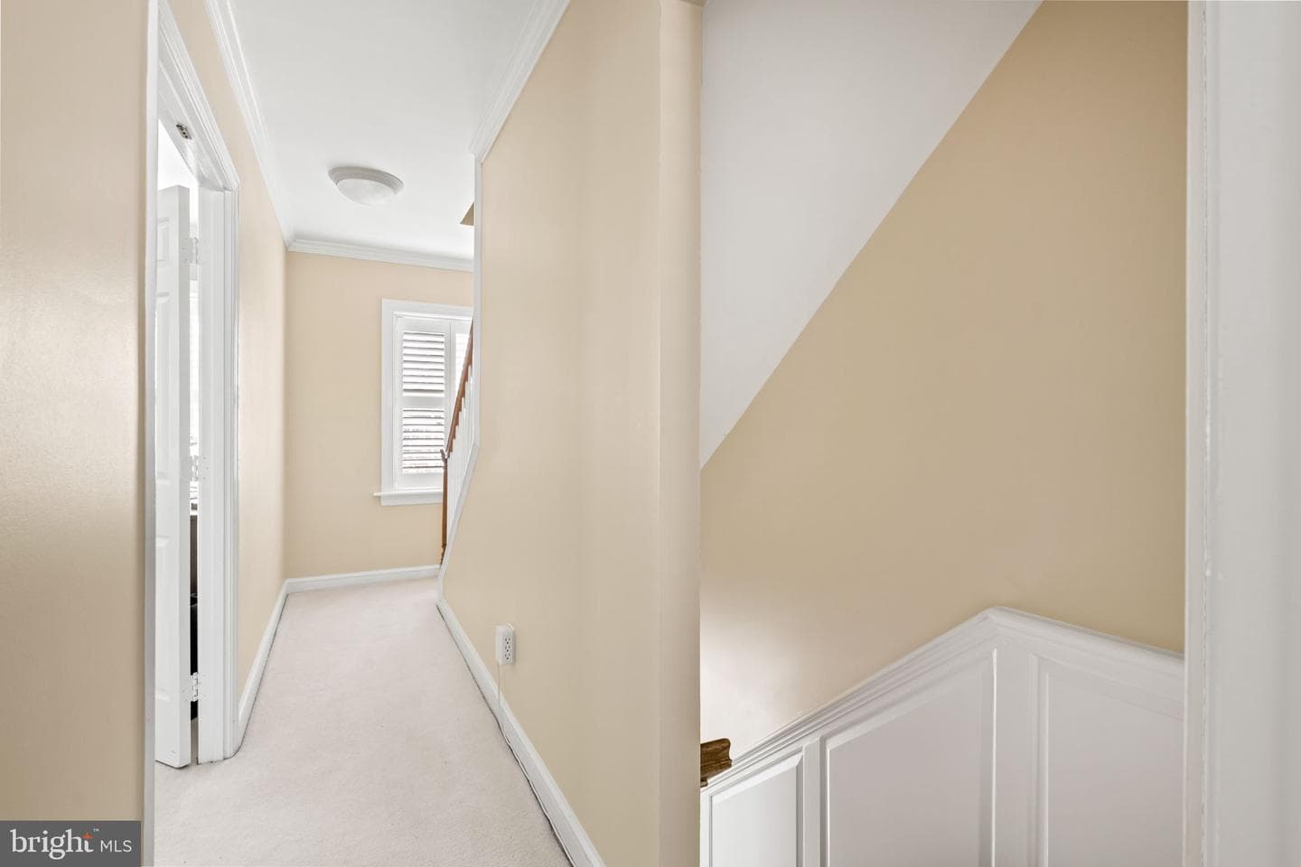803 Green Street photo 24
