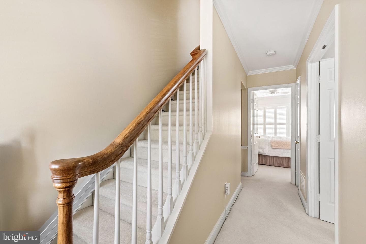 803 Green Street photo 32