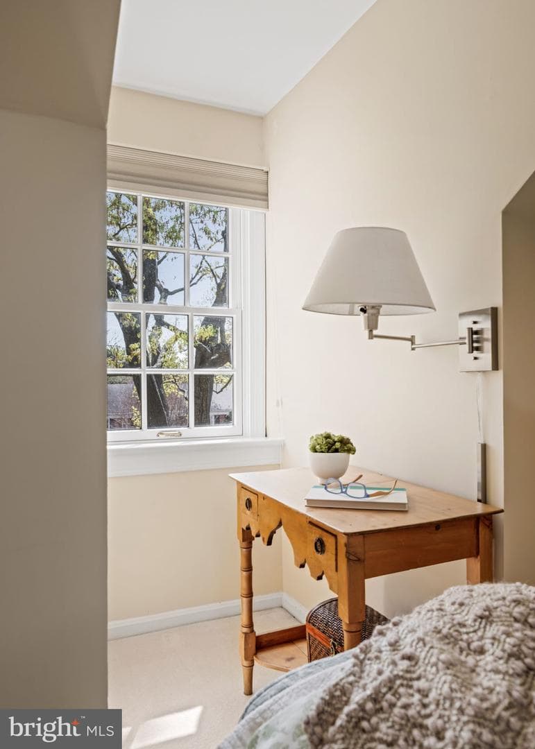 803 Green Street photo 35