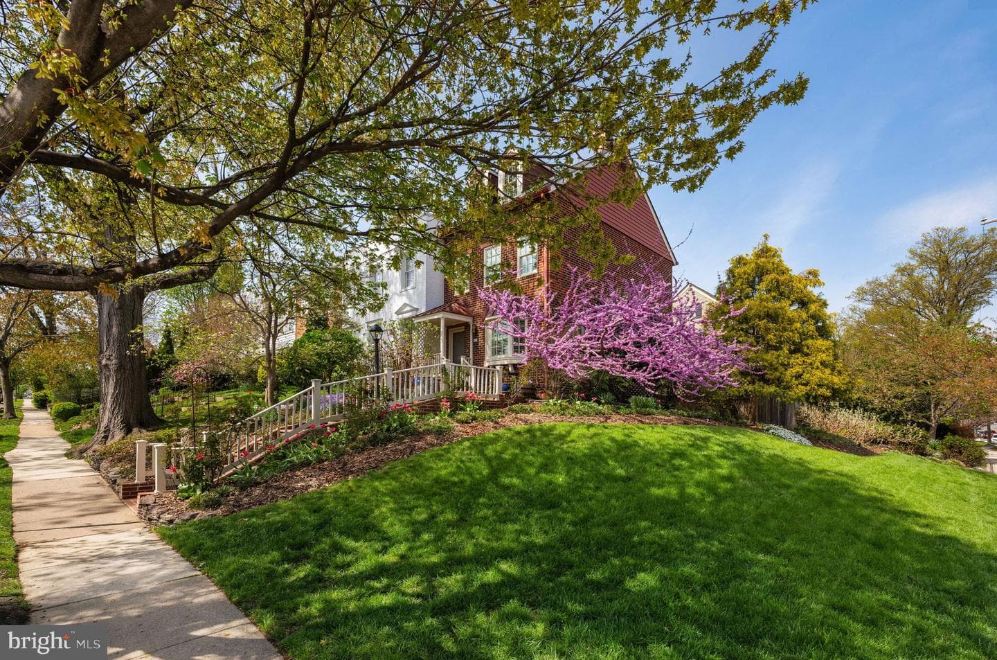 803 Green Street photo 4