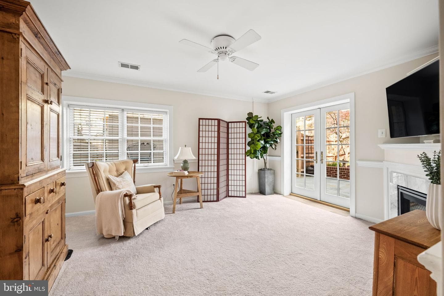803 Green Street photo 42