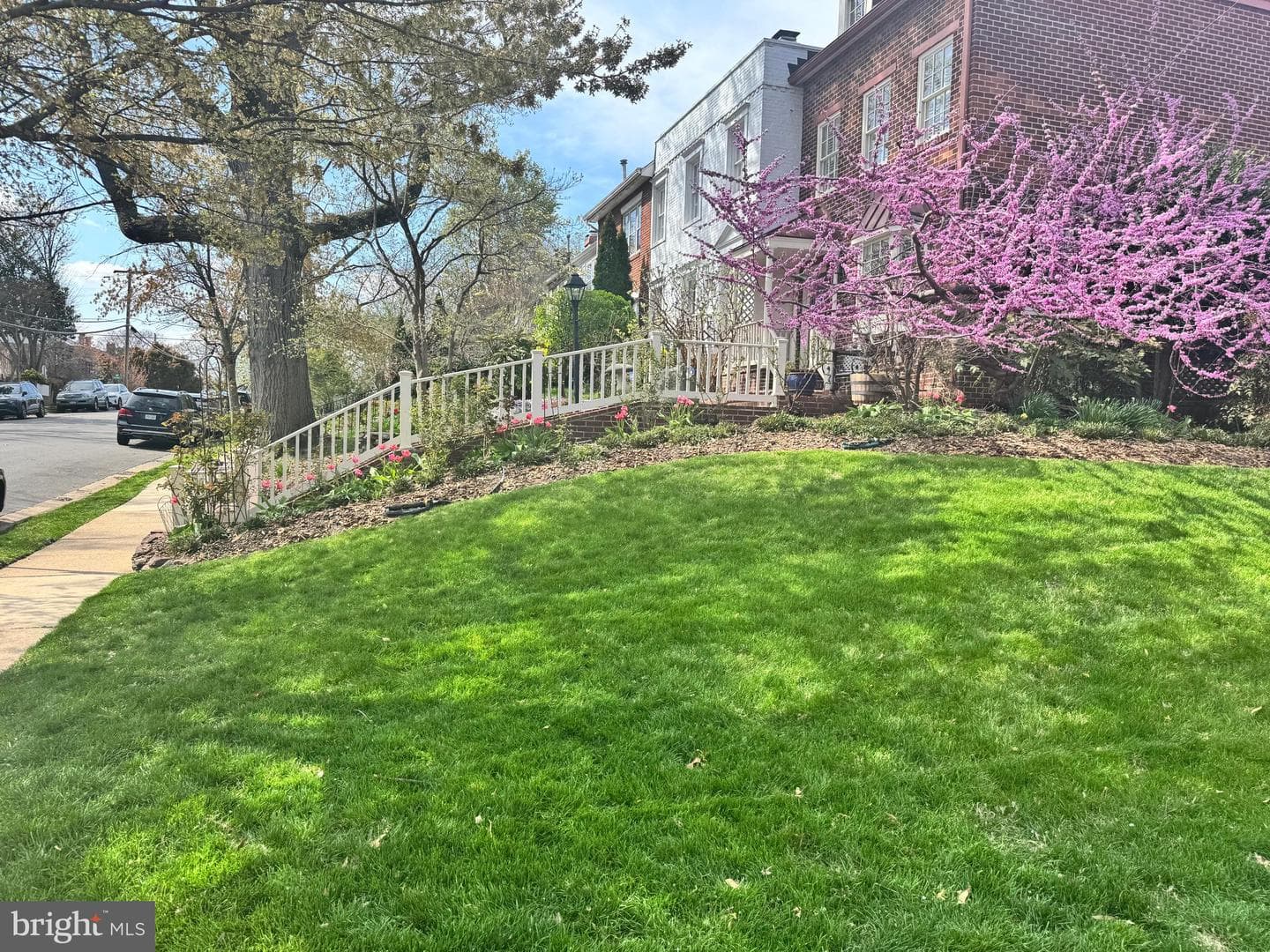 803 Green Street photo 60
