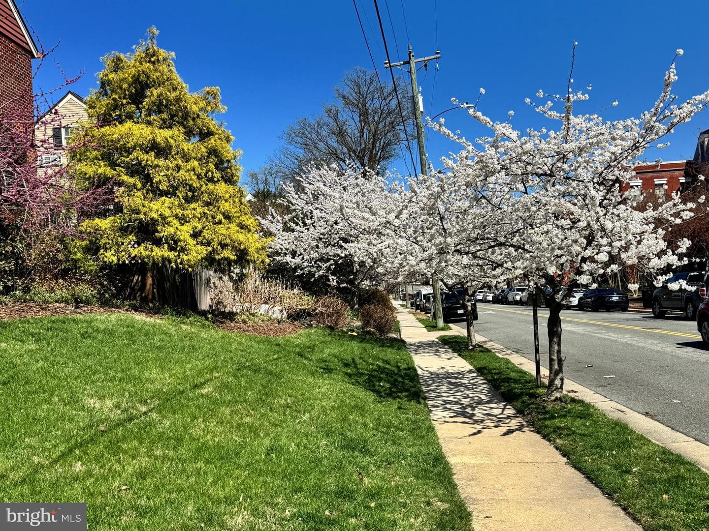 803 Green Street photo 61