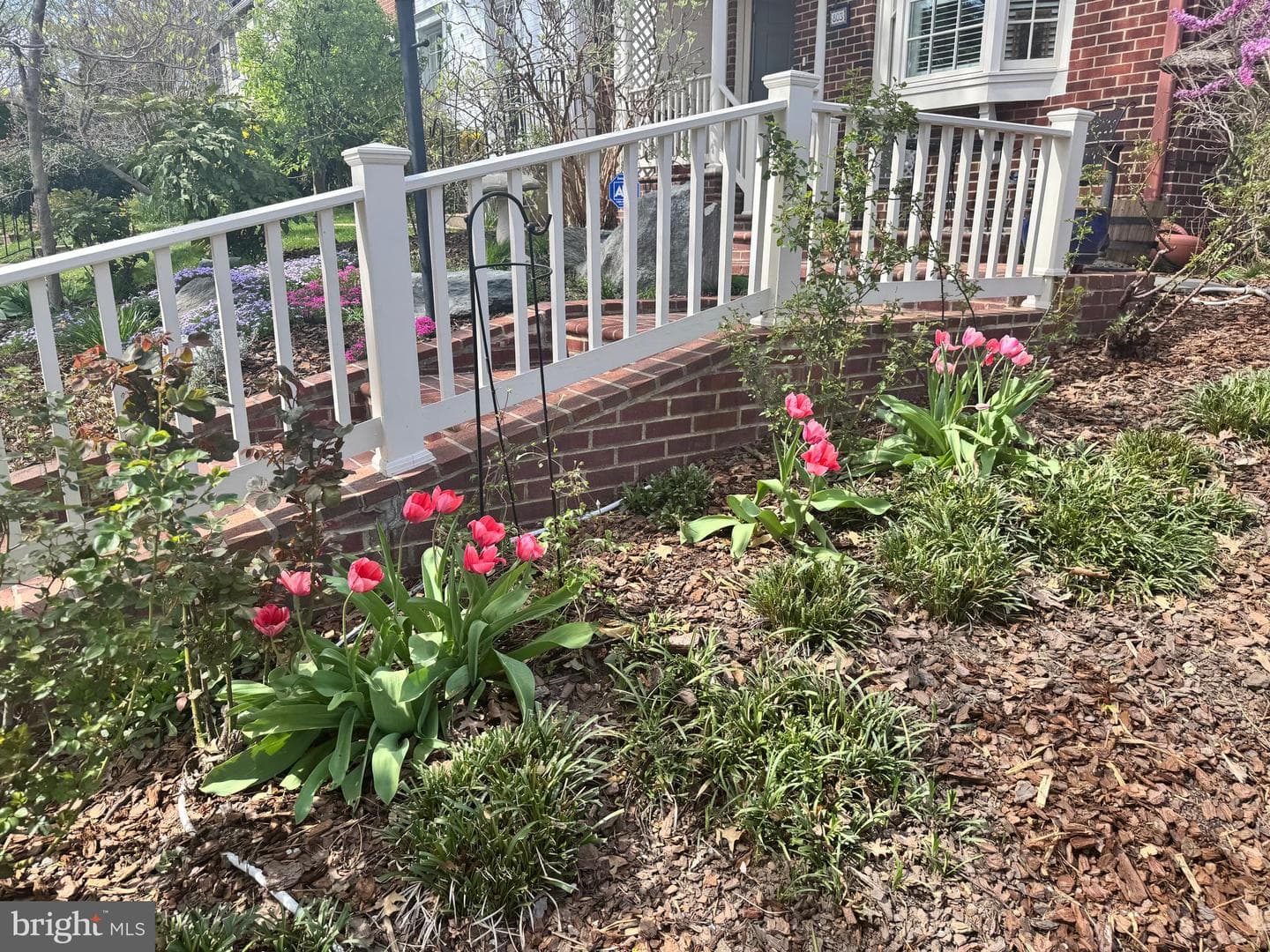 803 Green Street photo 65