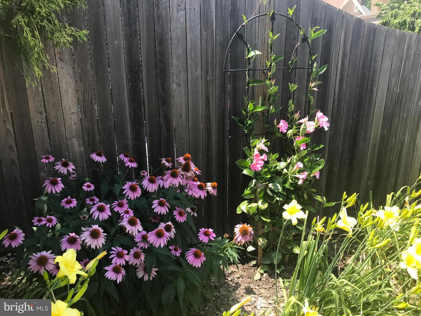 803 Green Street photo 69