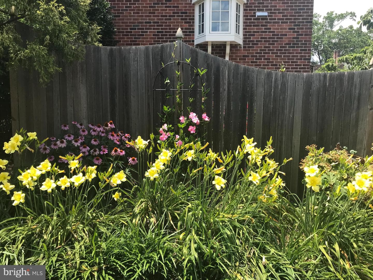 803 Green Street photo 71