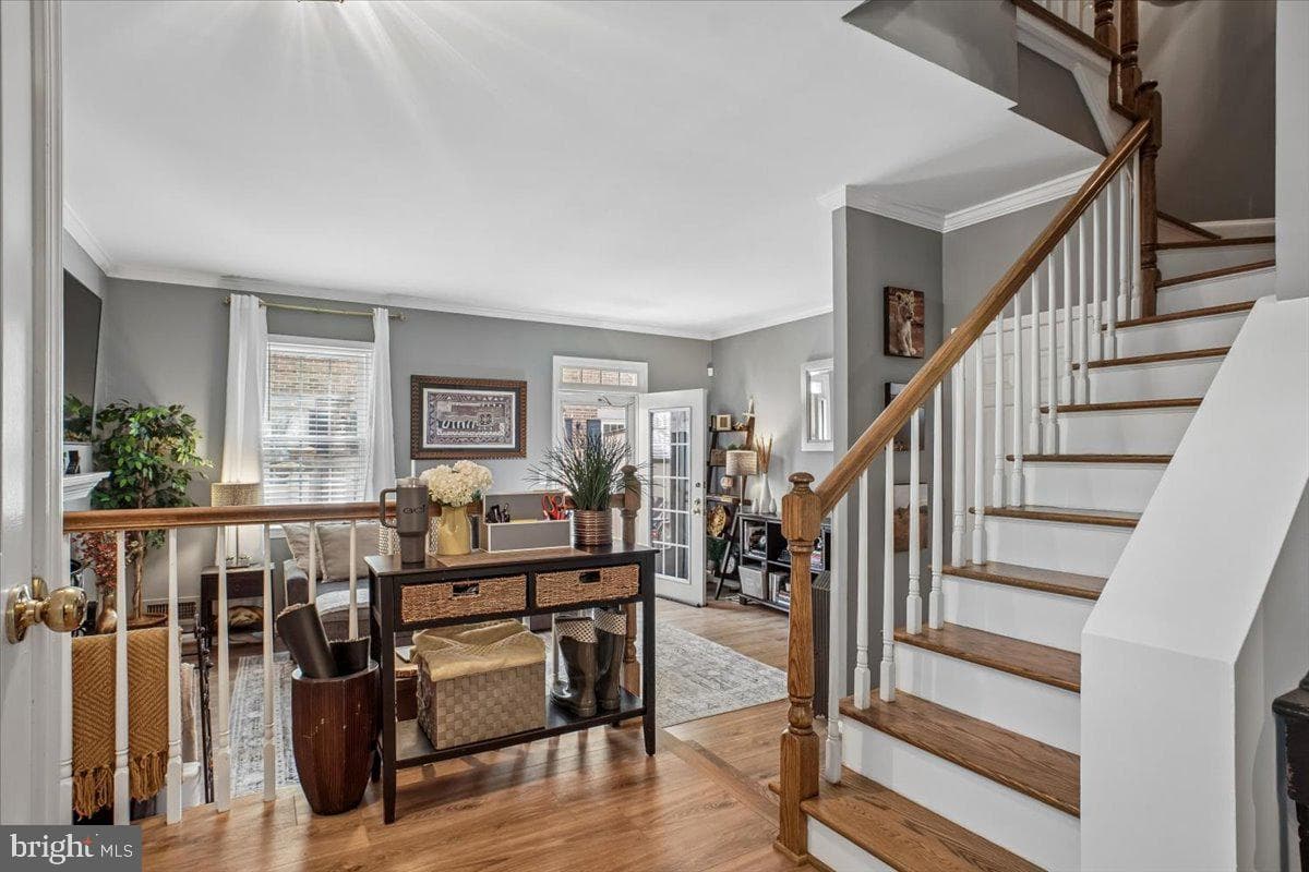 1014 N Royal Street photo 5