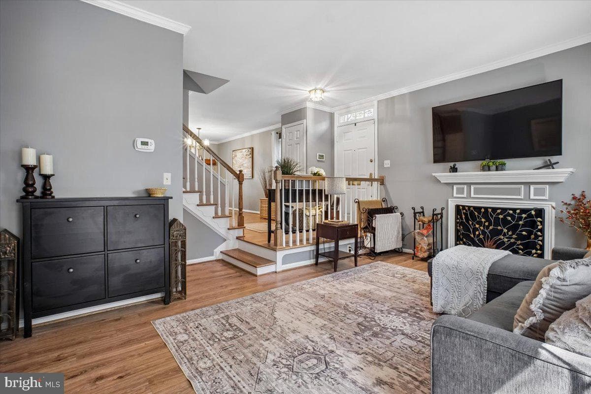 1014 N Royal Street photo 6