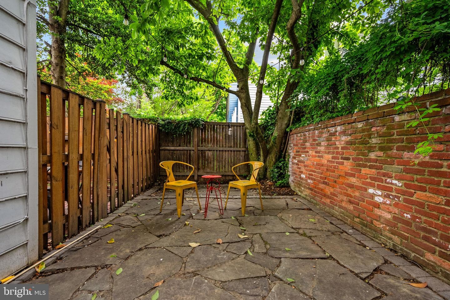 205 Wolfe Street photo 58