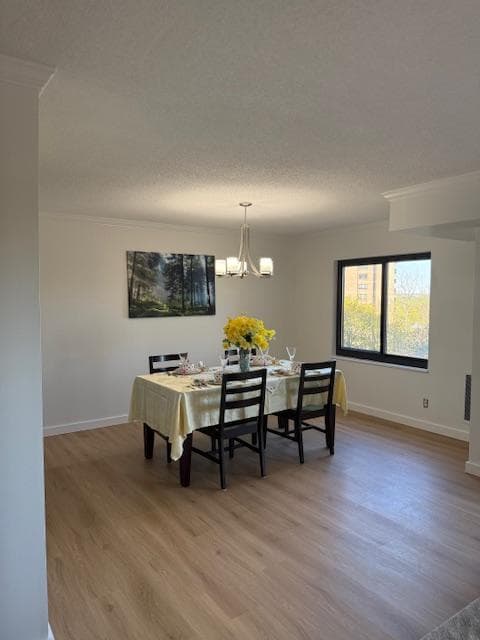 203 Yoakum Pkwy # 1209 photo 11