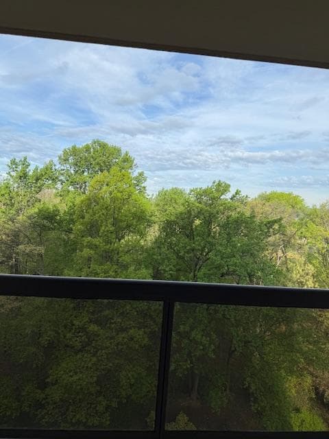203 Yoakum Pkwy # 1209 photo 43