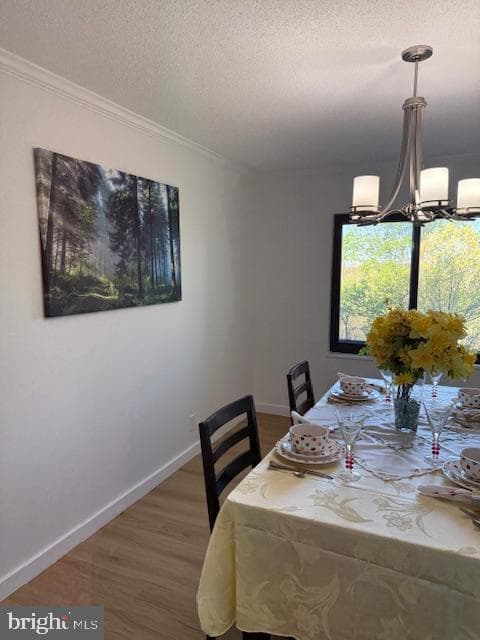 203 Yoakum Pkwy # 1209 photo 8
