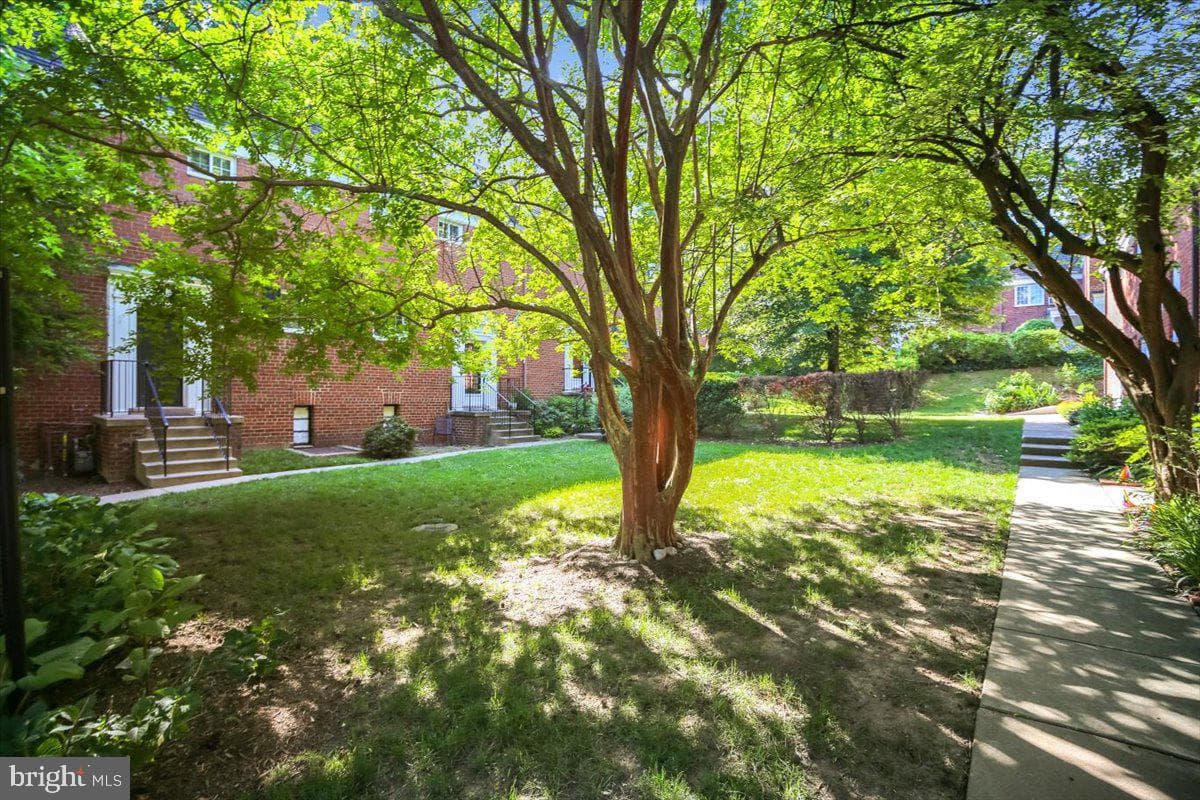 3702 Valley Drive photo 35