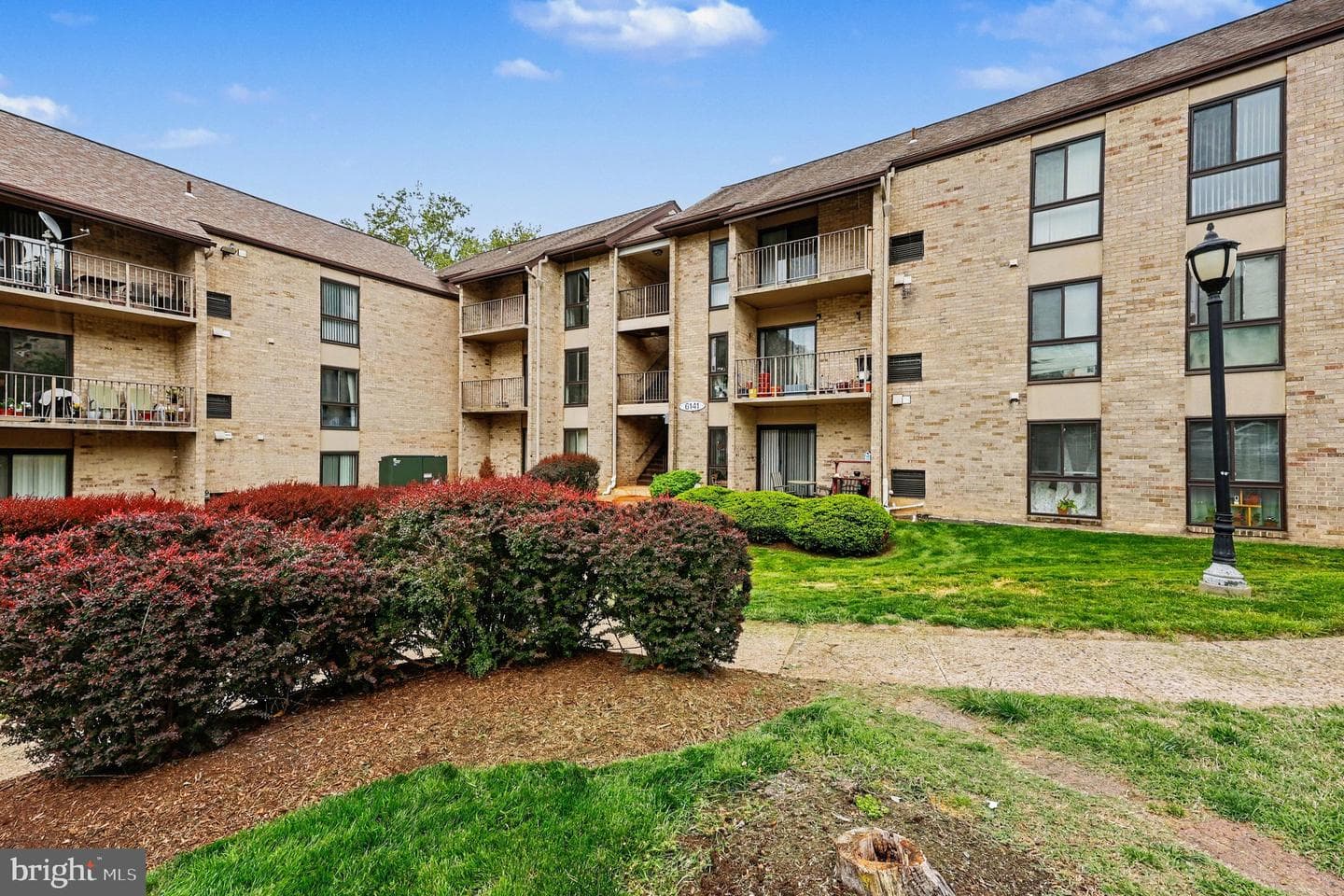 6141 Edsall Road #l, Alexandria