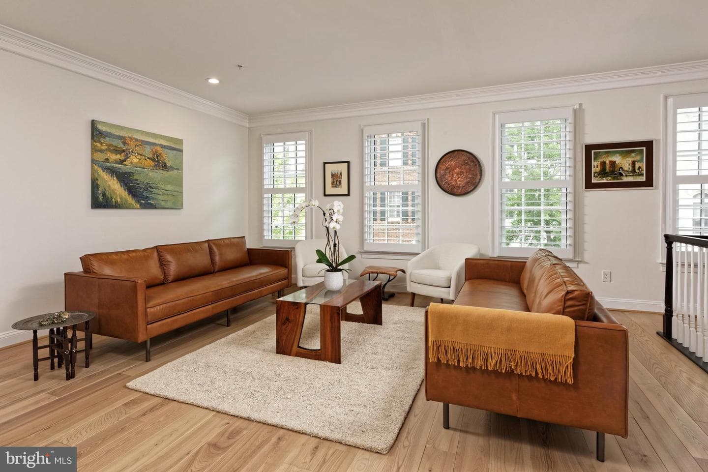 28 Alexander Street photo 21
