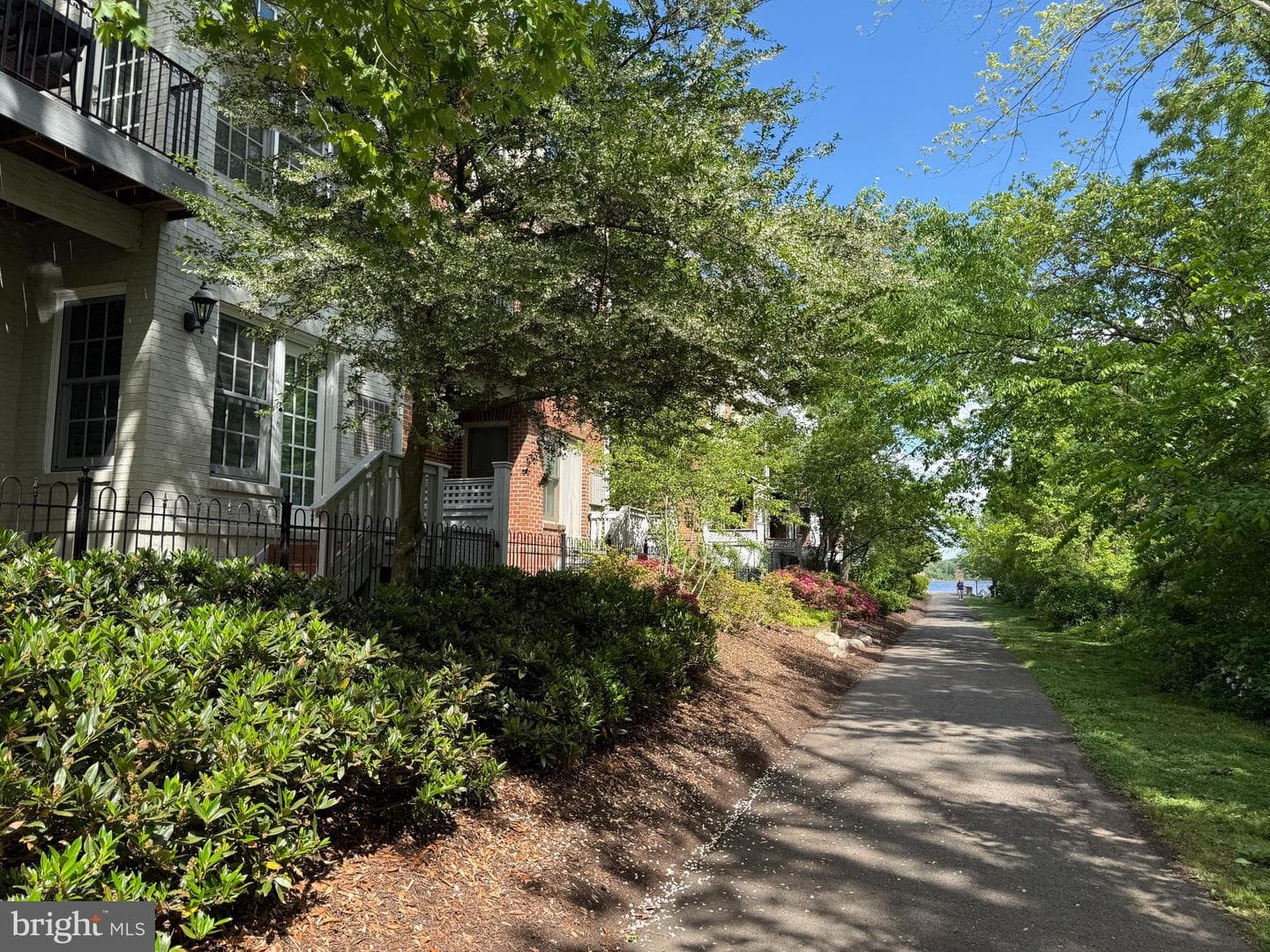 28 Alexander Street photo 54