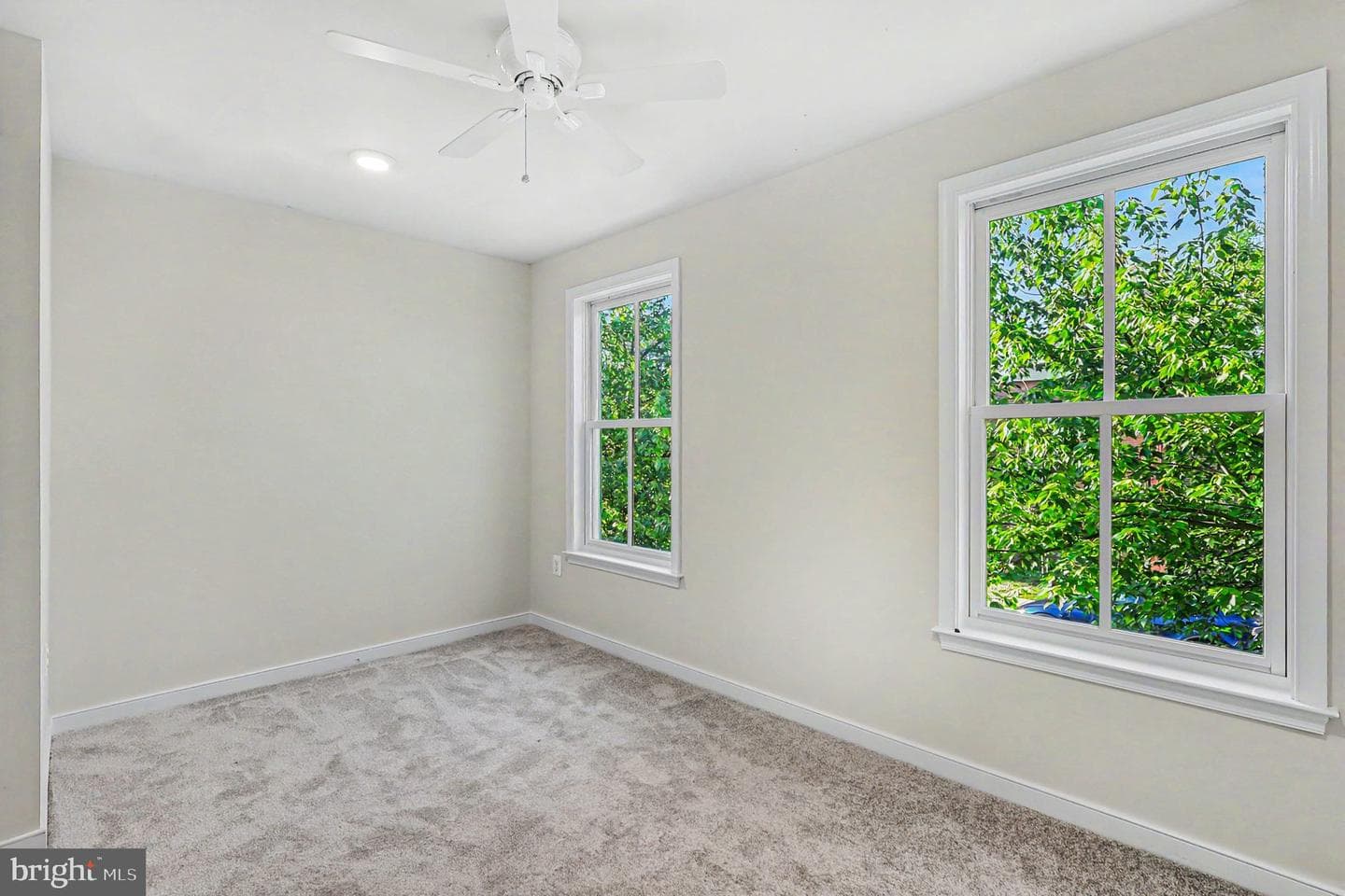 1216 Princess Street photo 19