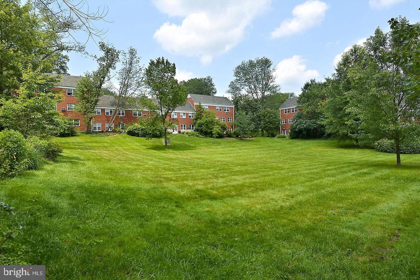 3539 Martha Custis Drive photo 20
