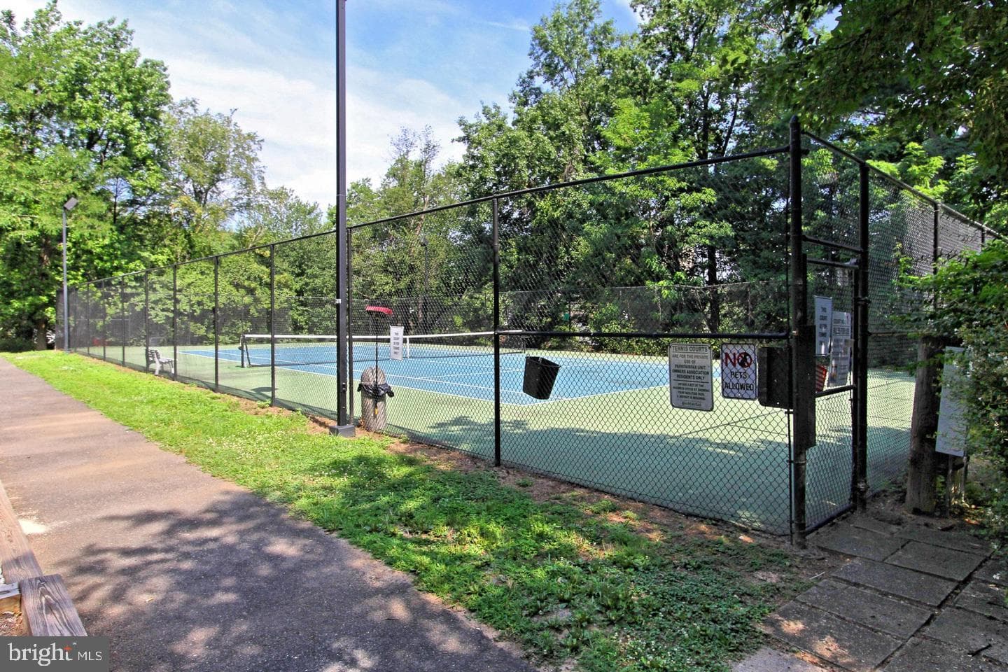 3539 Martha Custis Drive photo 33