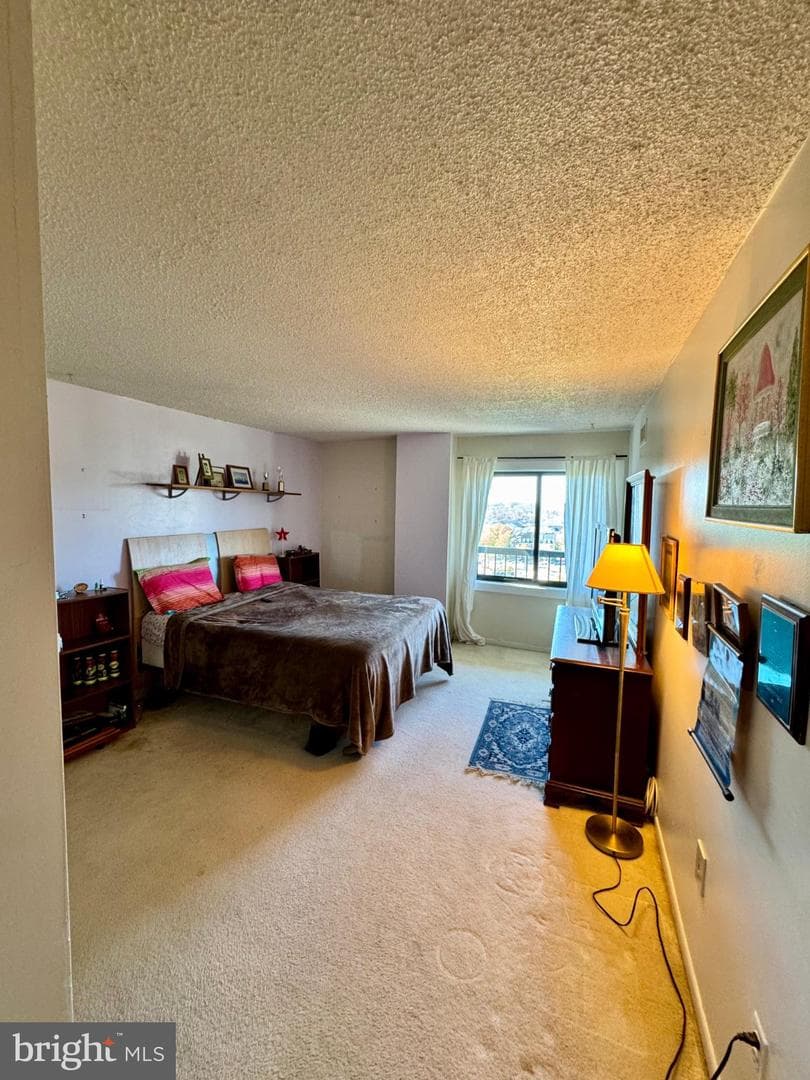 200 Pickett Street N #1114 photo 16