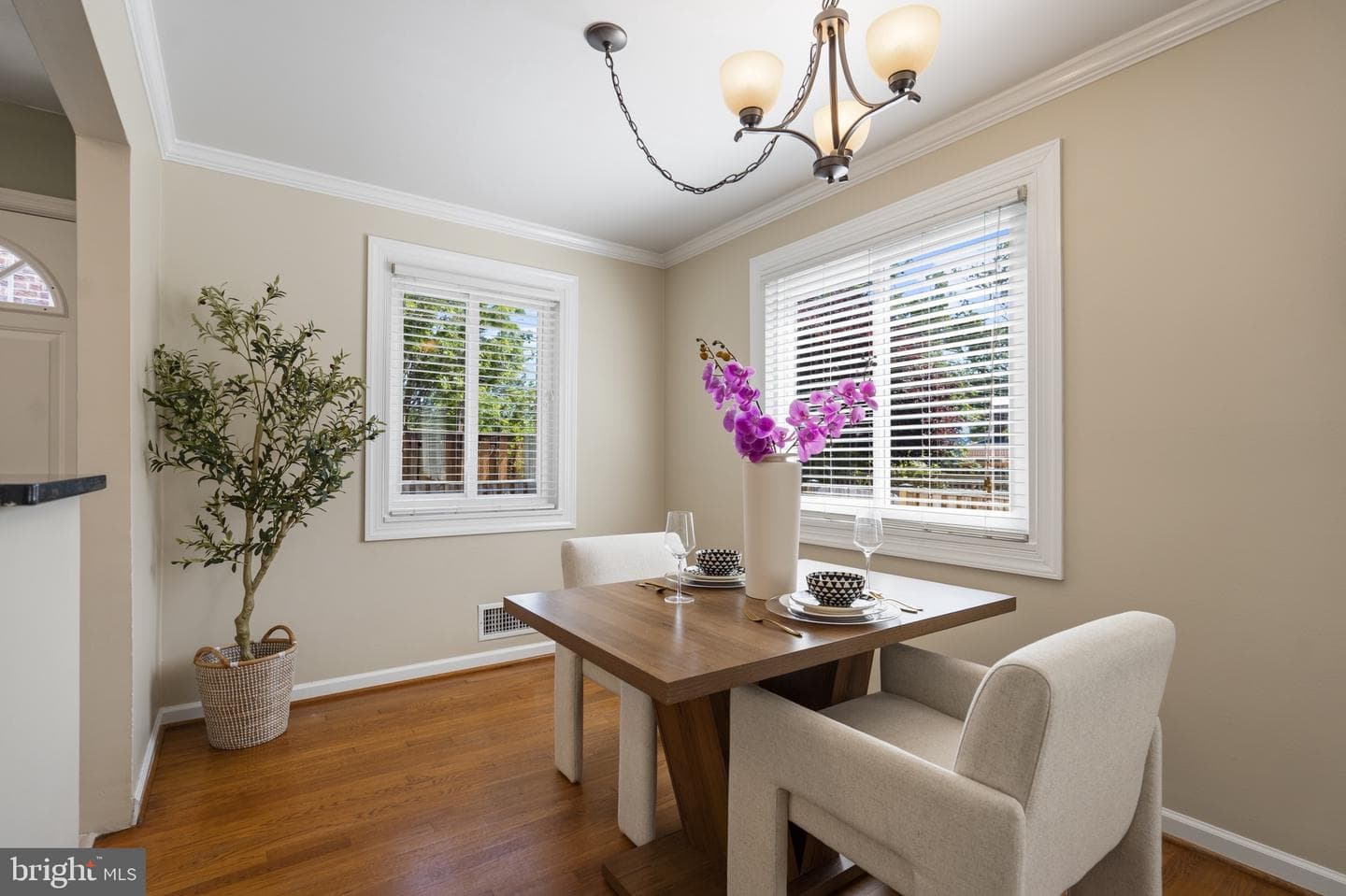 1333 Oronoco Street photo 13
