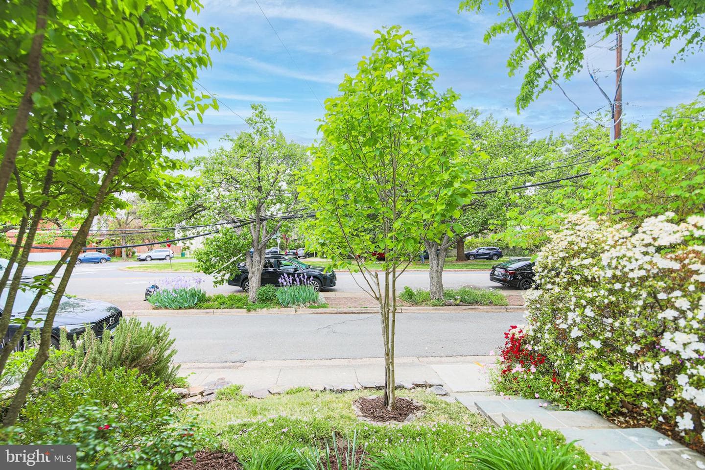 1107 Powhatan Street photo 5