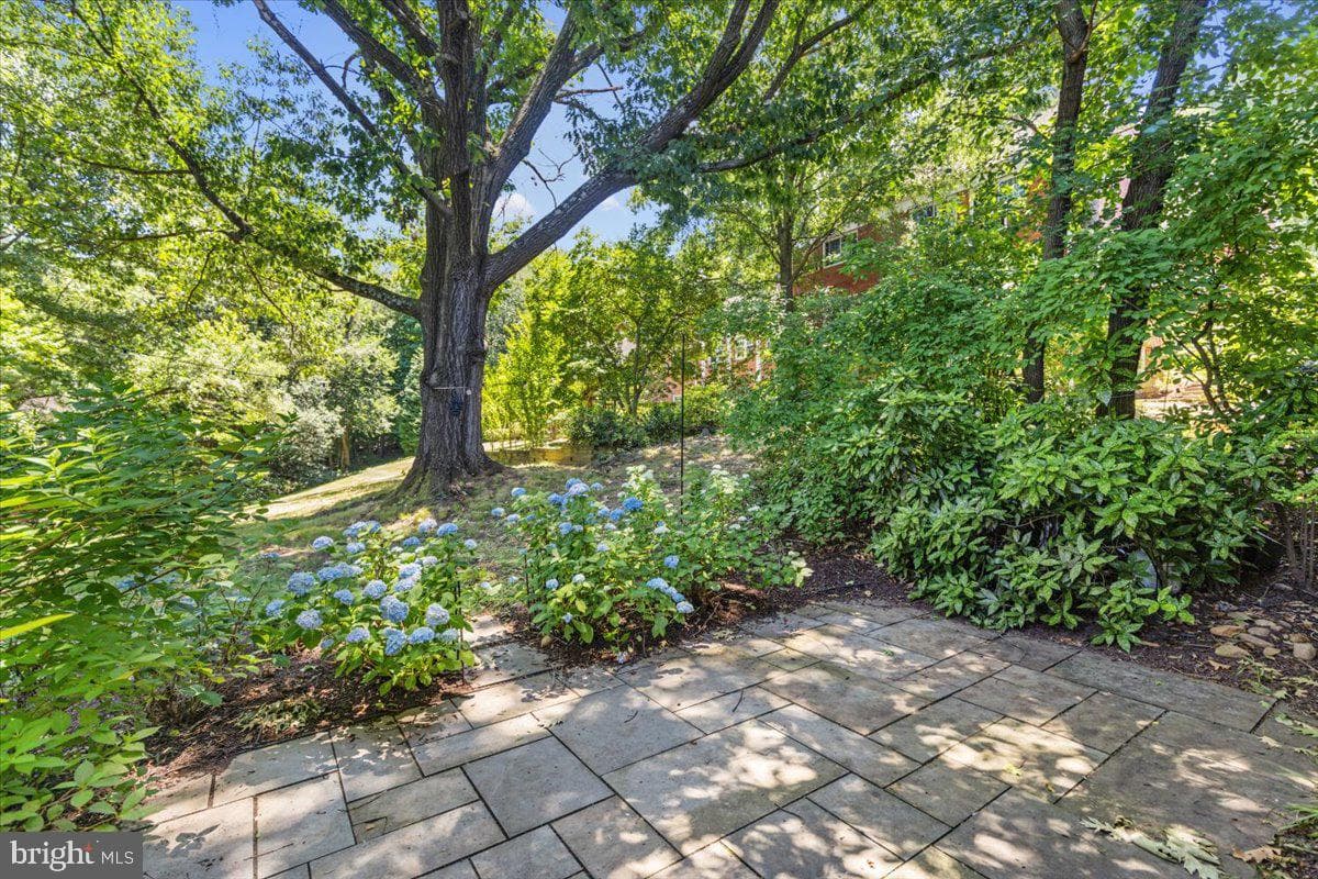 3527 Martha Custis Drive photo 21