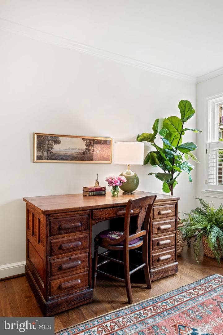411 Franklin Street photo 20