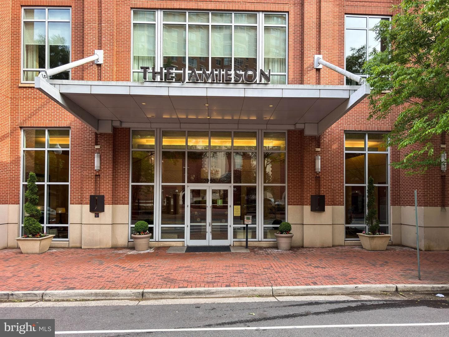 2050 Jamieson Avenue #1310 photo 44