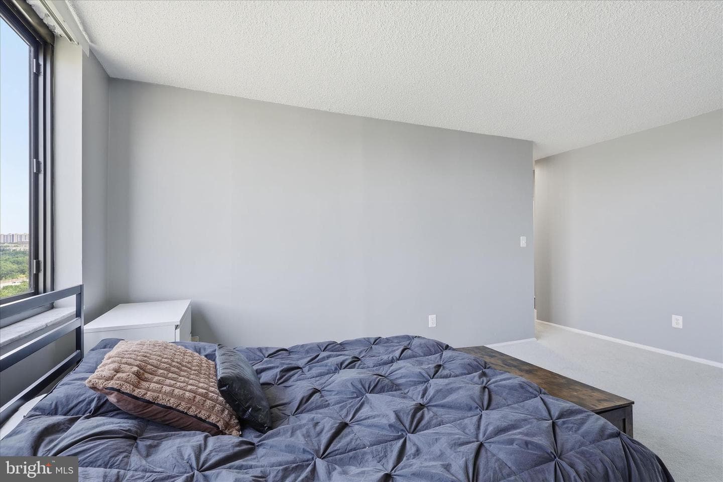 5500 Holmes Run Parkway #1405 photo 18
