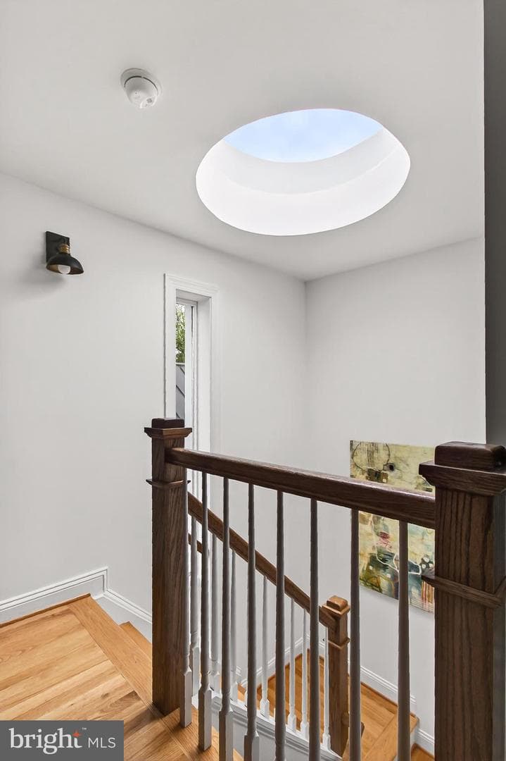 902 Oronoco Street photo 32