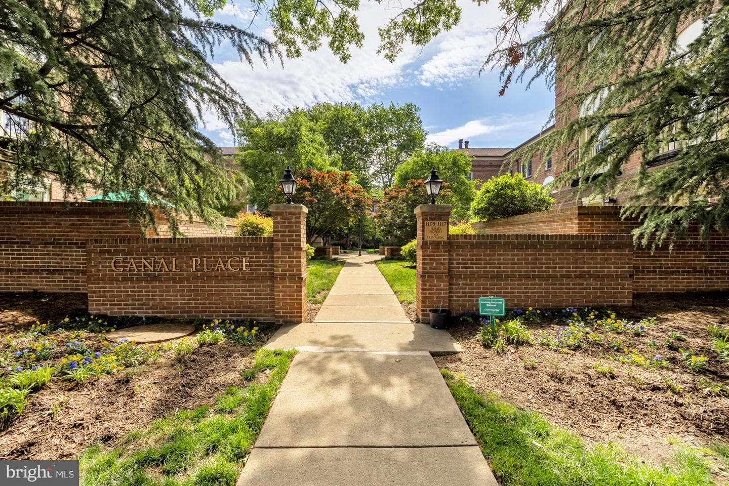 1115 N Pitt Street #3a