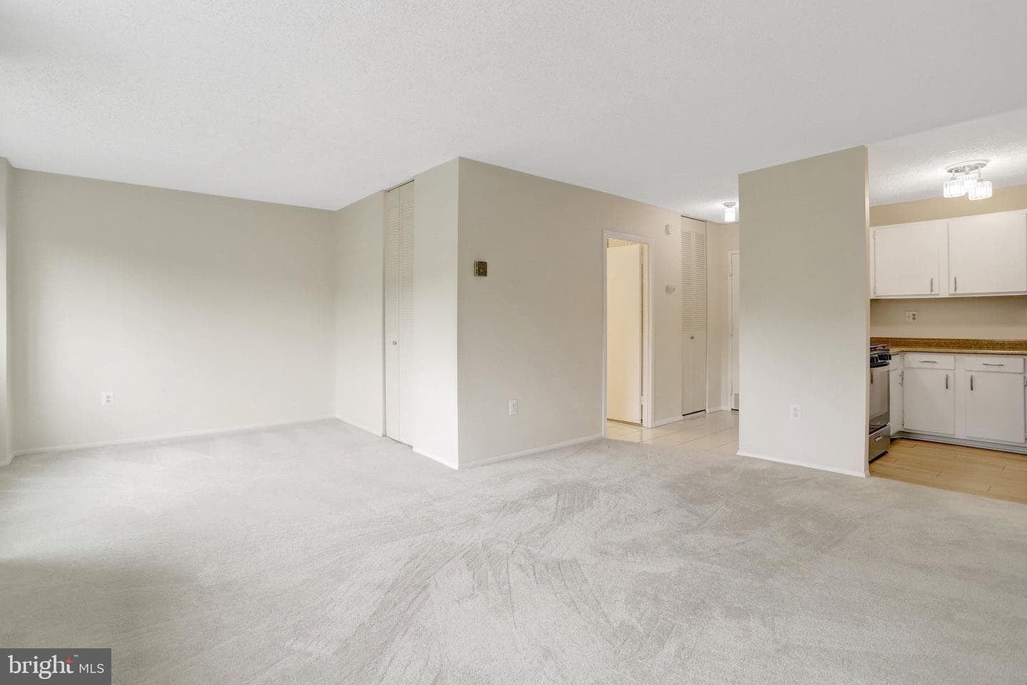 1225 Martha Custis Drive #403 photo 12