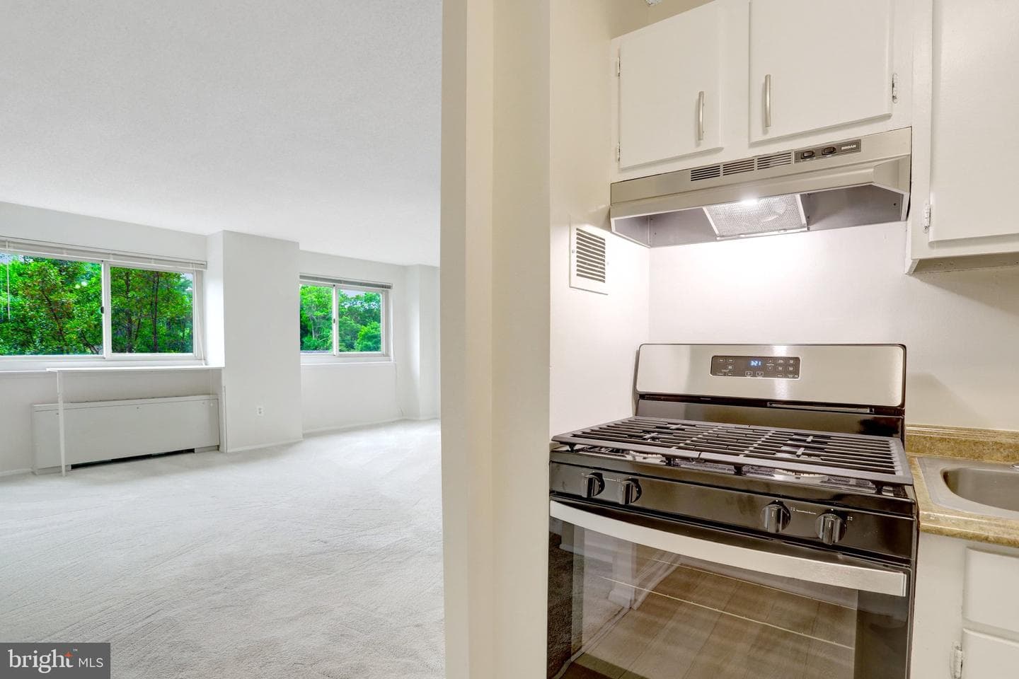 1225 Martha Custis Drive #403 photo 16