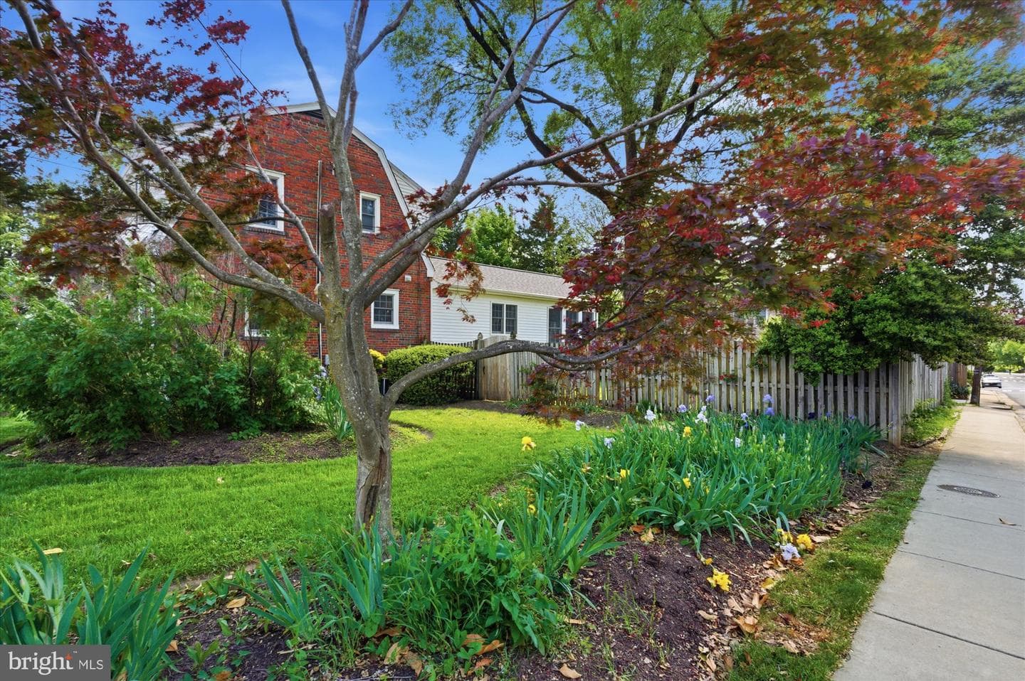 2434 Cameron Mills Road photo 49