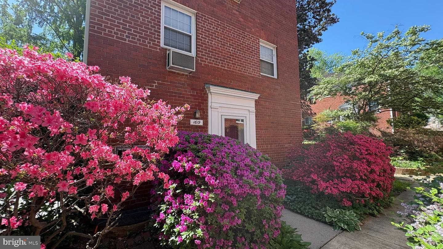1619 Mount Eagle Place photo 19