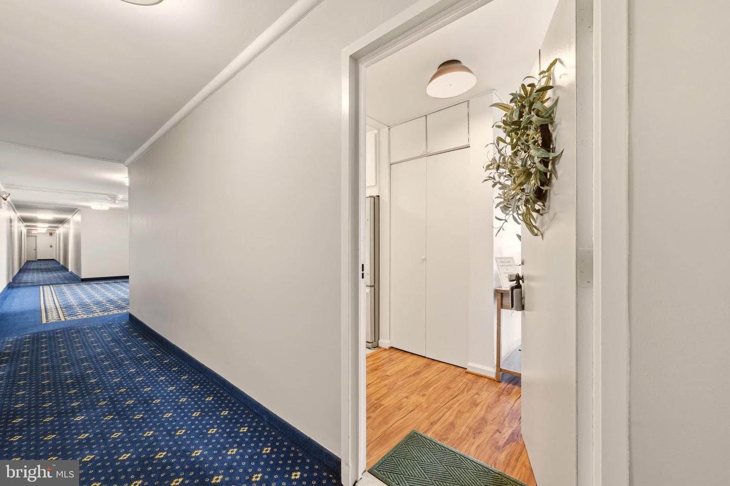 801 N Pitt Street #1601 photo 4