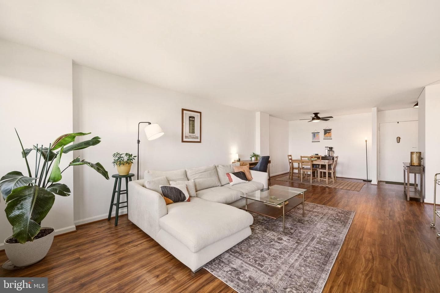 801 N Pitt Street #1601 photo 8