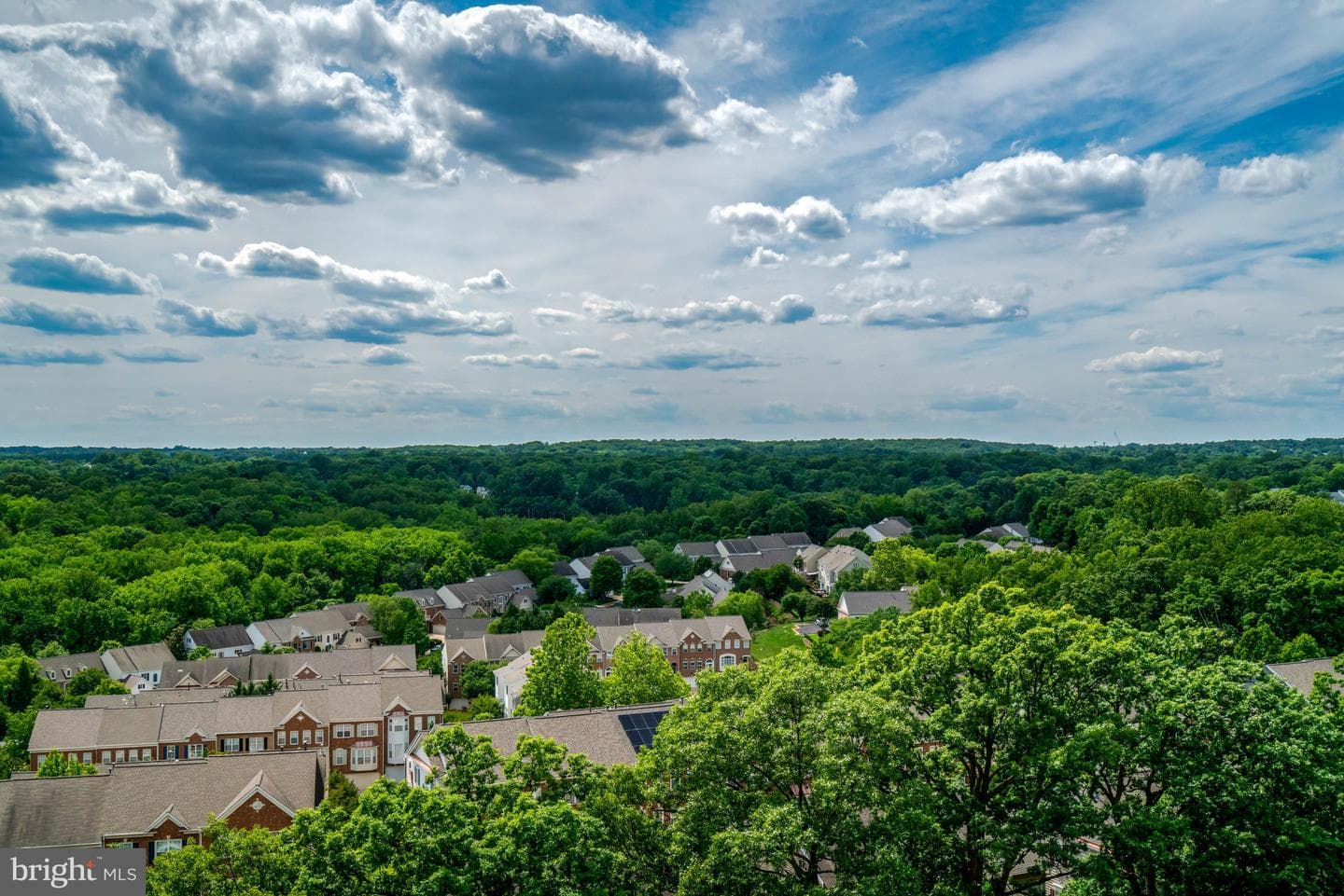 307 Yoakum Parkway #1406 photo 10