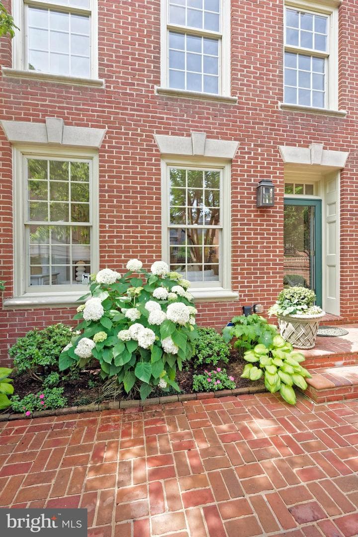 40 Wolfe Street photo 3
