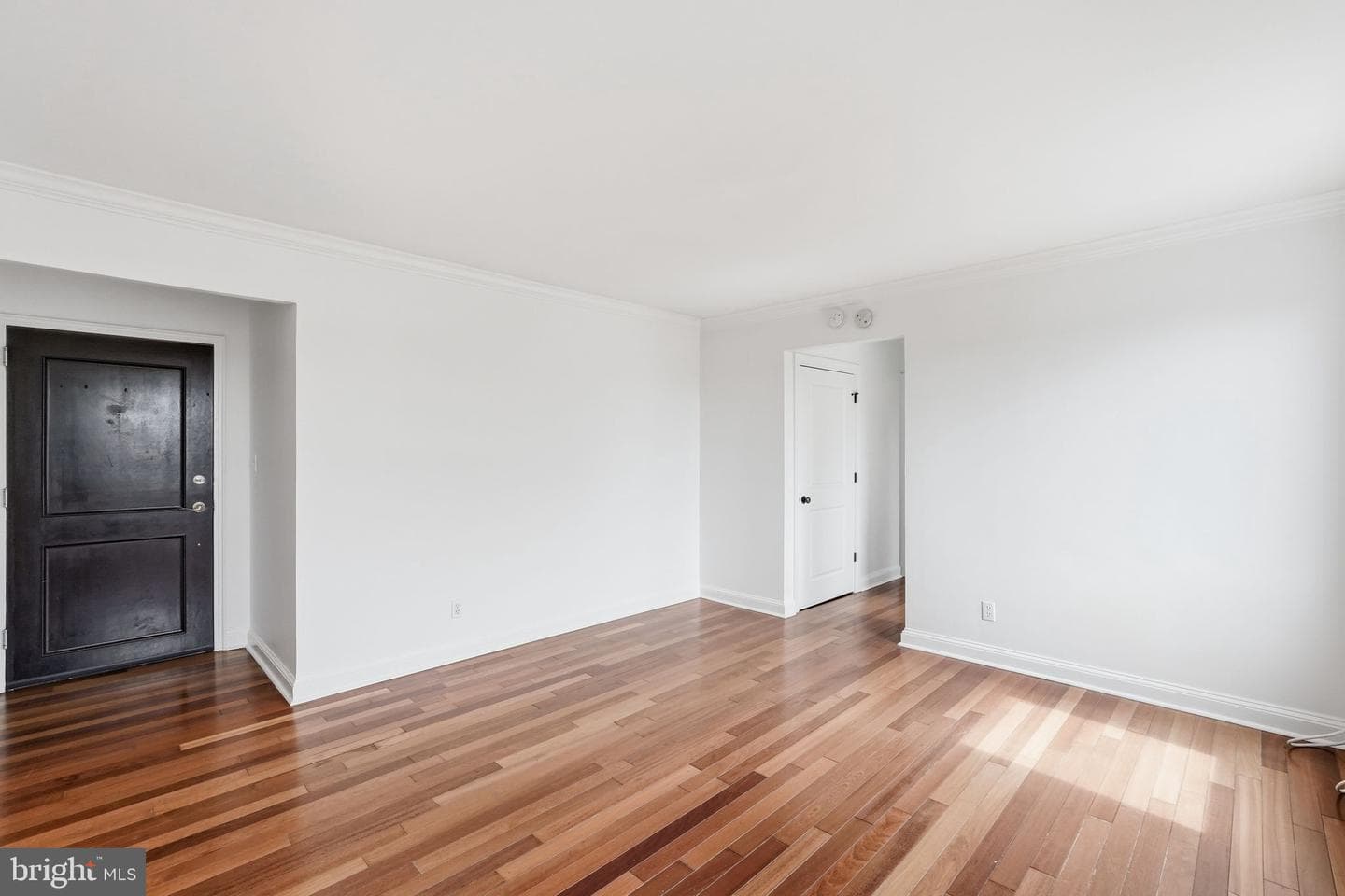 906 S Washington Street S #307 photo 5