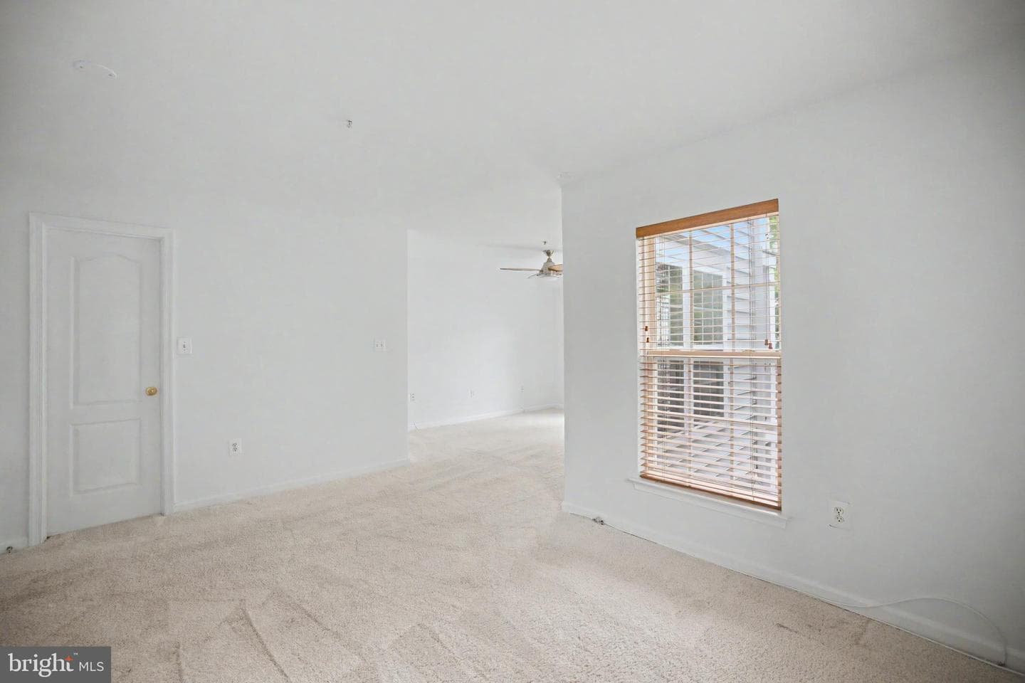 257 Cameron Station Boulevard photo 38