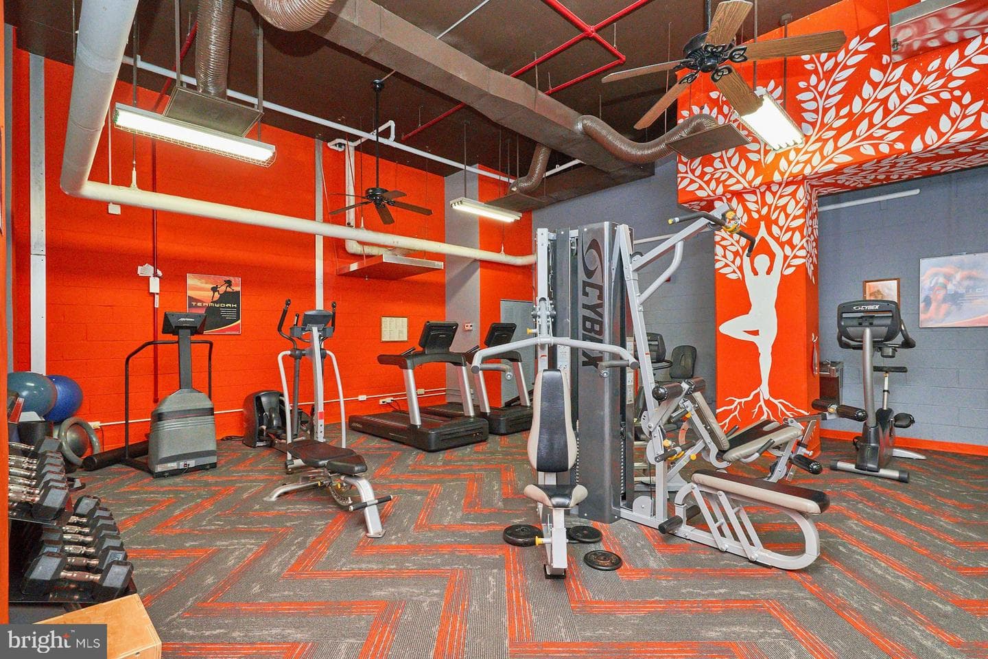 1225 Martha Custis Drive #810 photo 35