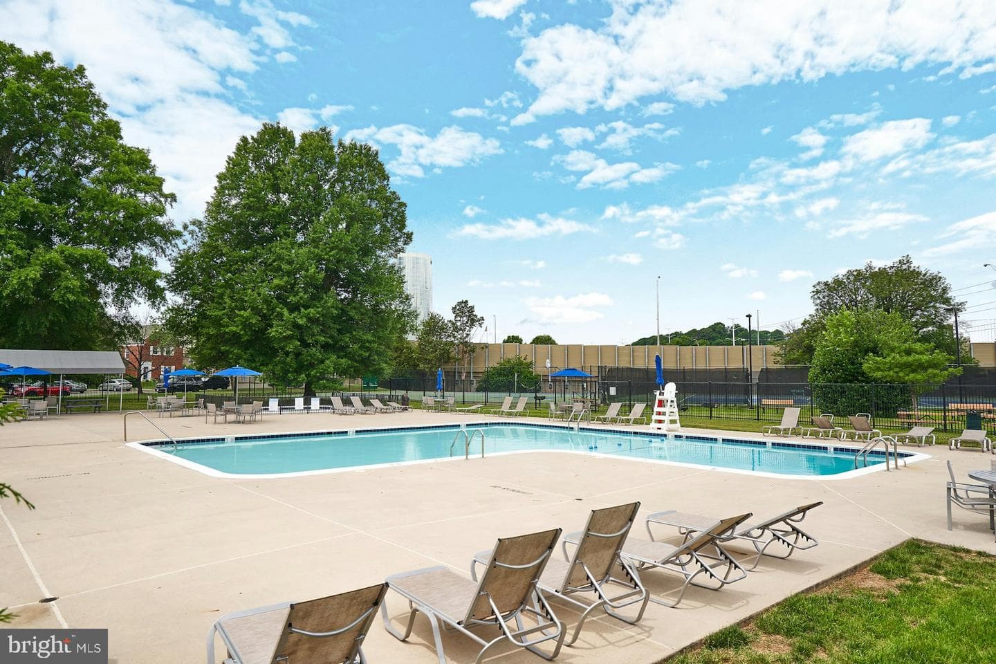 1225 Martha Custis Drive #810 photo 48