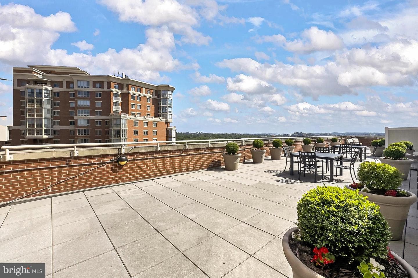 2050 Jamieson Avenue #1409 photo 37