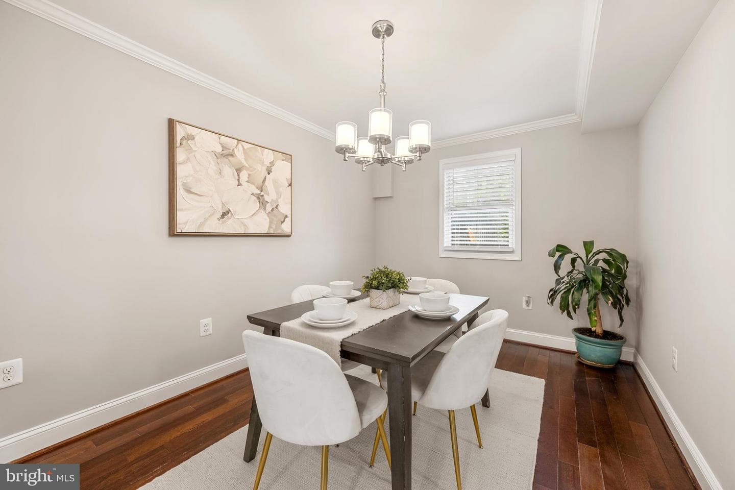 1111 Queen Street photo 14